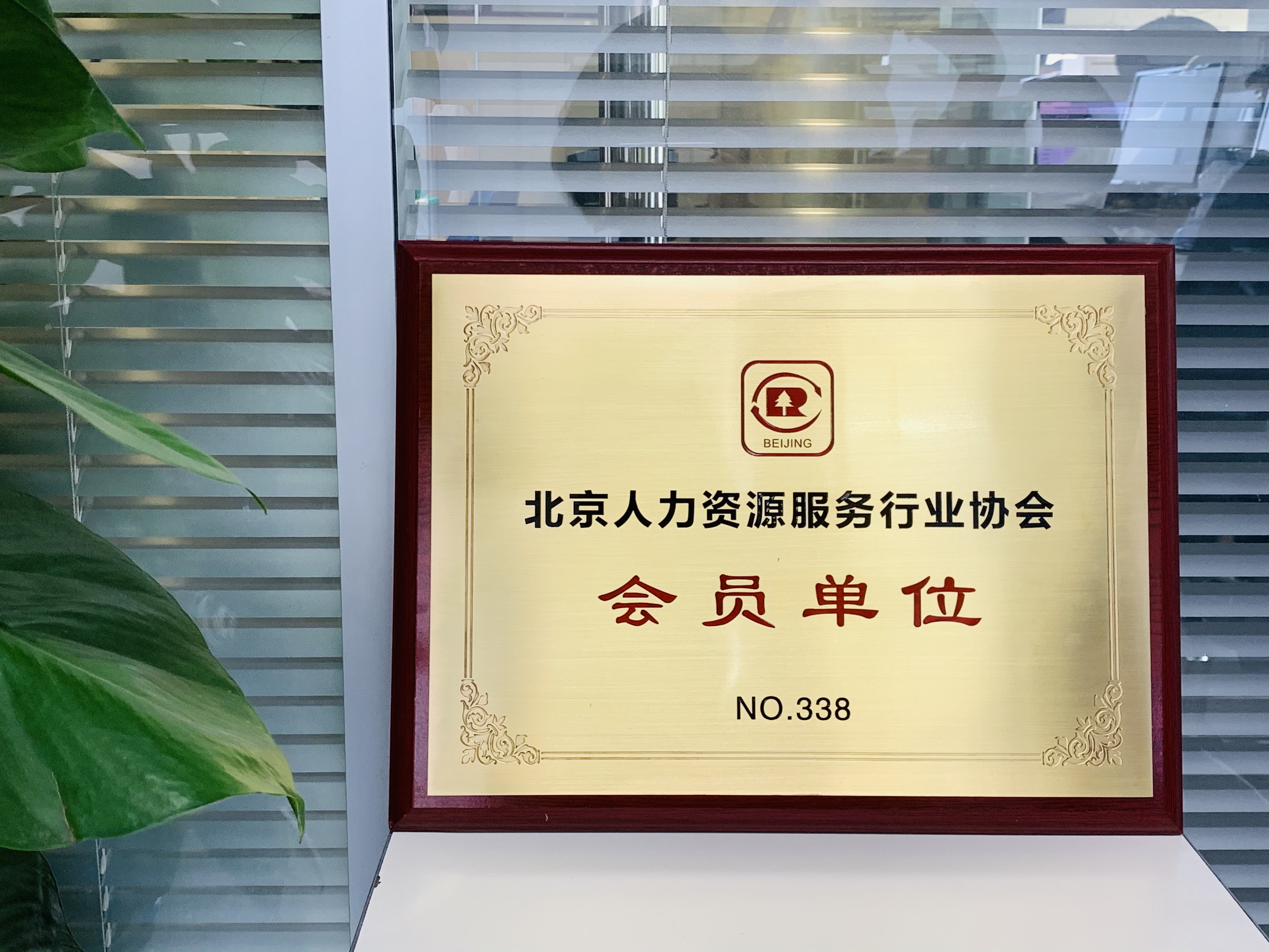 挂牌上市辅导服务(上市辅导备案是不是快上市了)大连市