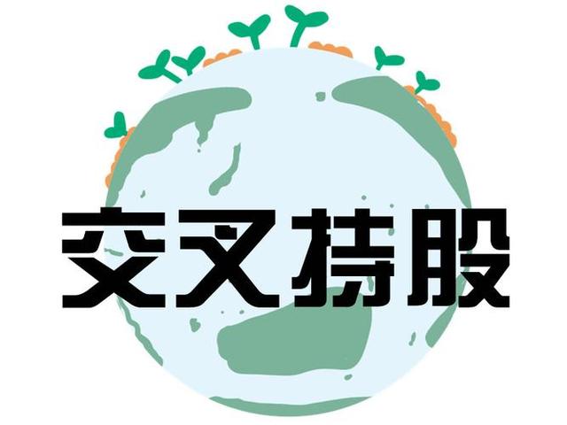 交叉持股安排设计(交叉持股怎么计算持股比例)大连市