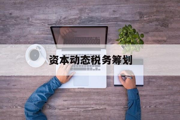 资本动态税务筹划(资本动态税务筹划案例)大连市