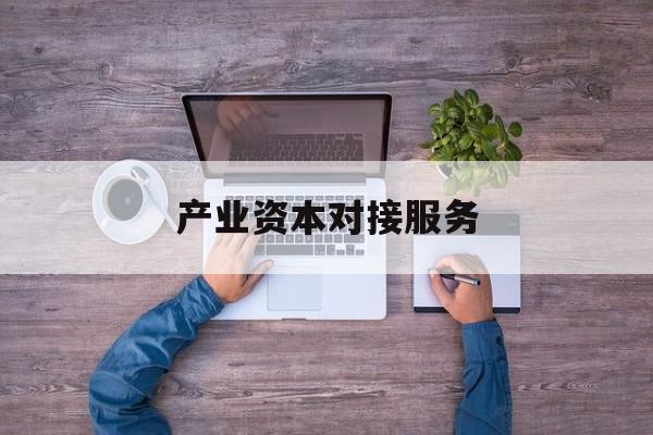 产业资本对接服务(产业资本对接服务包括哪些)大连市