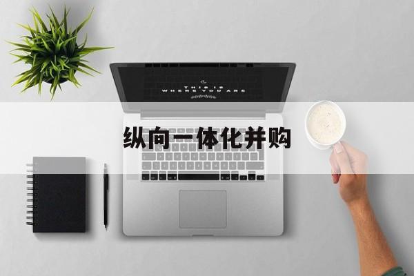 纵向一体化并购(纵向一体化企业集团)大连市